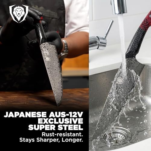 Dalstrong 9.5" Chef Knife, AUS-12V Steel
