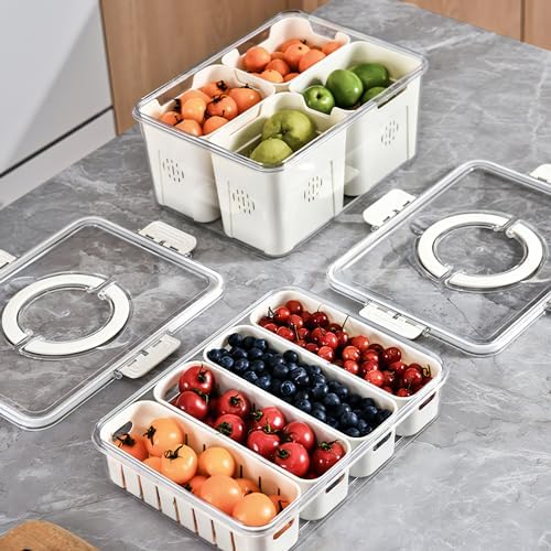2Pack Divided Veggie Tray with Lid and Handle 4 Compartment Serving