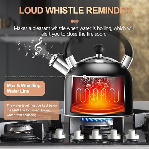 SUSTEAS 3.17QT Black Stainless Steel Whistling Tea Kettle