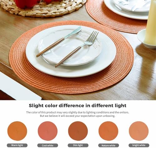 FunWheat Round Braided Placemats Set of 6 Table Mats for Dining Tables