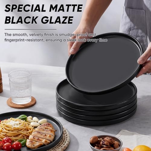 E-far Dinner Plates Set of 6, 10.5 Inch Stoneware Dinner Plate, Black