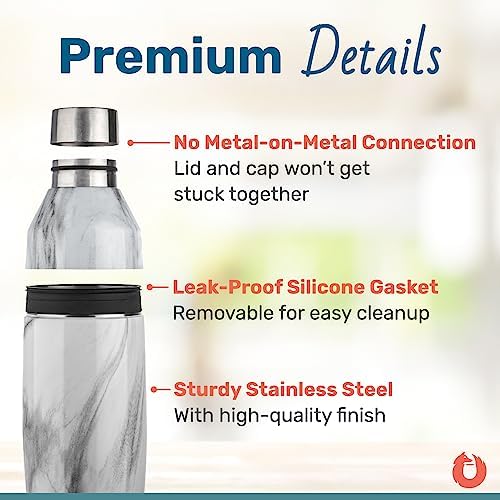 SNOWFOX Premium Vacuum Insulated Stainless Steel Cocktail Shaker, Home