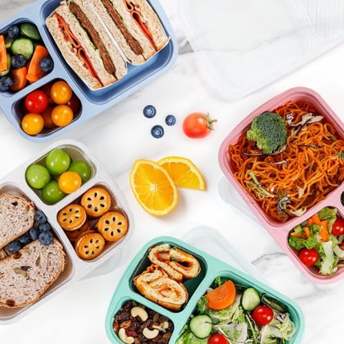 Caperci Wheat Straw Bento Lunch Box Containers for Adults & Kids