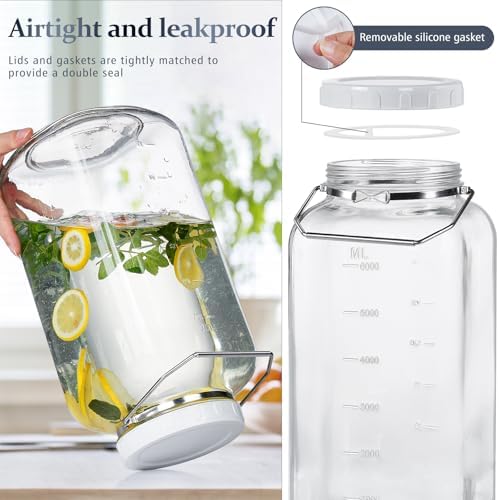2 Gallon Glass Jar with Airtight Lid