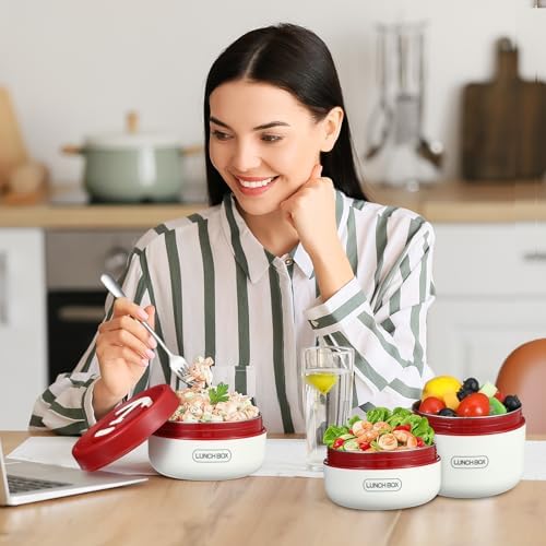 Dandat 4 Pcs Insulated Lunch Container, Portable Bento Box, Stainless