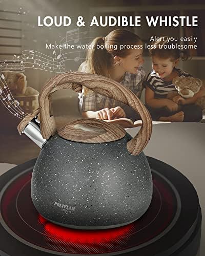 POLIVIAR 2.7 Quart Natural Stone Stainless Steel Tea Kettle
