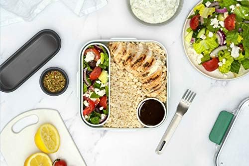 BLACK + BLUM Bento Box Style Compartment Food Container | Packed Lunch
