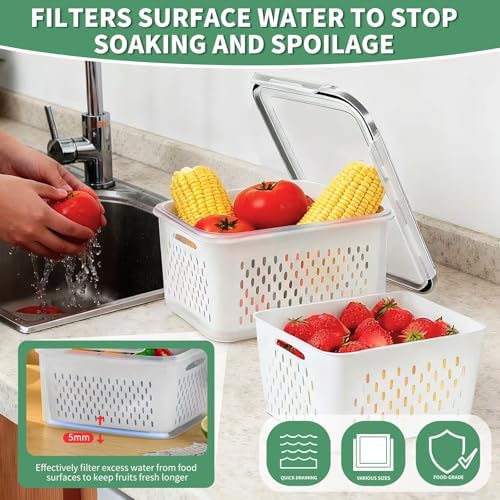 3 Pcs Fruit Storage Containers for Fridge