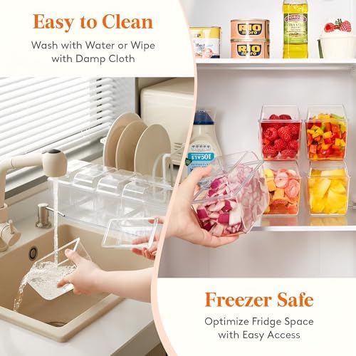 Condiment Containers with lids Stainless Steel 5 Spoons, 5 Forks and 2
