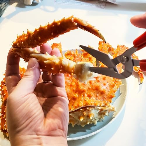 CANARY Crab Scissors Heavy Duty 6.7", Made in JAPAN, Seafood Scissors