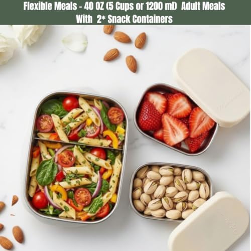 Modaniam Flexibento 40 OZ Stainless Steel Lunch Box Set