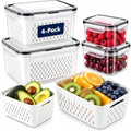 4 Pcs Large Fruit Storage Containers for Fridge