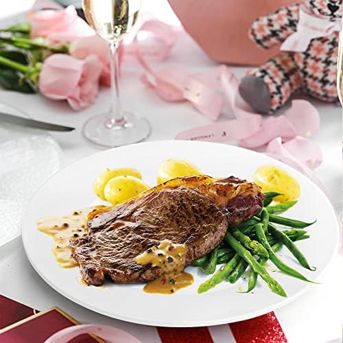 Foraineam 6 Pieces Porcelain Dinner Plates Approximate 10 Inch Round