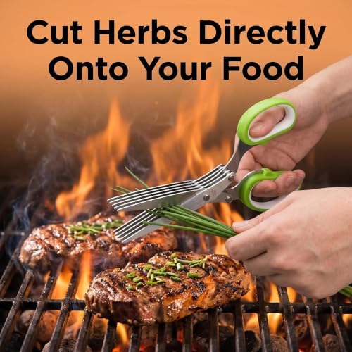 Stainless Steel 2-in-1 Garlic Press and Herb Scissors