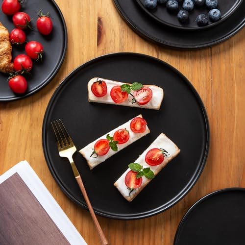 AmorArc Stoneware Dinner Salad Plates Set of 6, 8.5 Inch Ceramic