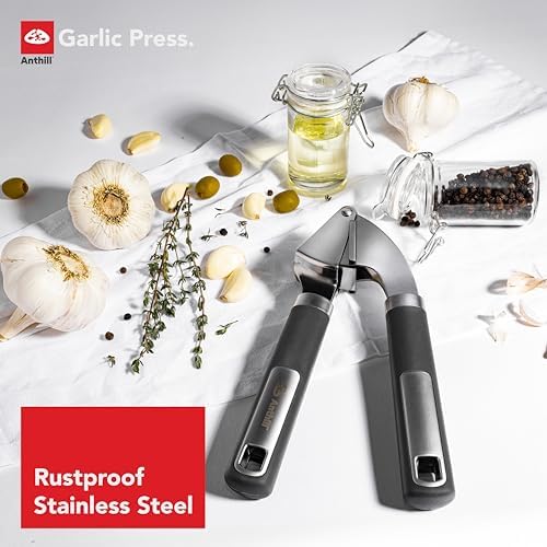 Anthill Stainless Steel Garlic Press, Grey