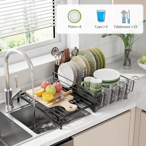 Ekisemio Expandable Dish Drying Rack, Black