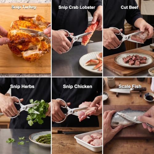 TONMA Kitchen Scissors Come Apart, Made in Japan, All Purpose, TK-25