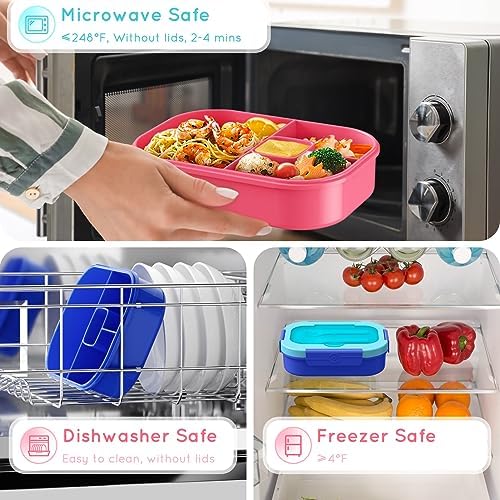 2 Pack Leakproof Bento Lunch Containers