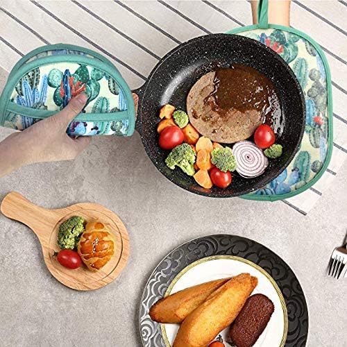 Pot Holders Set of 2 with Transparent Clear Silicone Shell and Nice Cactus - Image 7