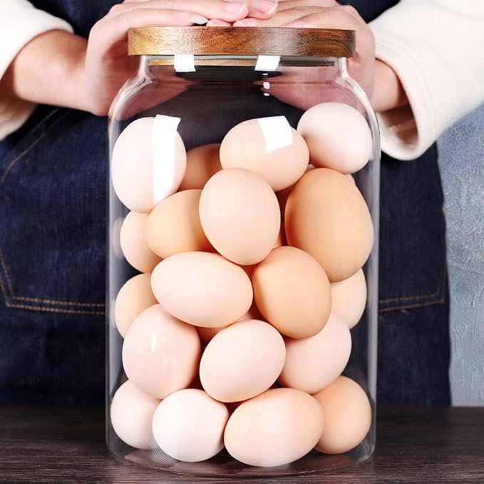 SAIOOL Egg Jar, kitchen canister， 1 Gallon Large Glass Food Storage Jars by SAIOOL