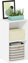 Furinno PASIR Book Shelf, 2-Tier Modern Bookshelf, Open Shelves Bookcase 9 x 12 by Furinno-FitsYourSpaceFitsYourBudget