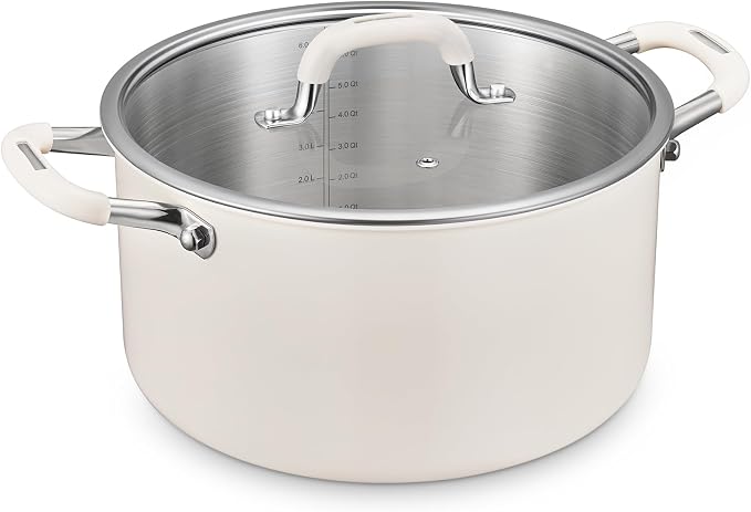 8 Quart Nonstick Stock Pot by BEZIA