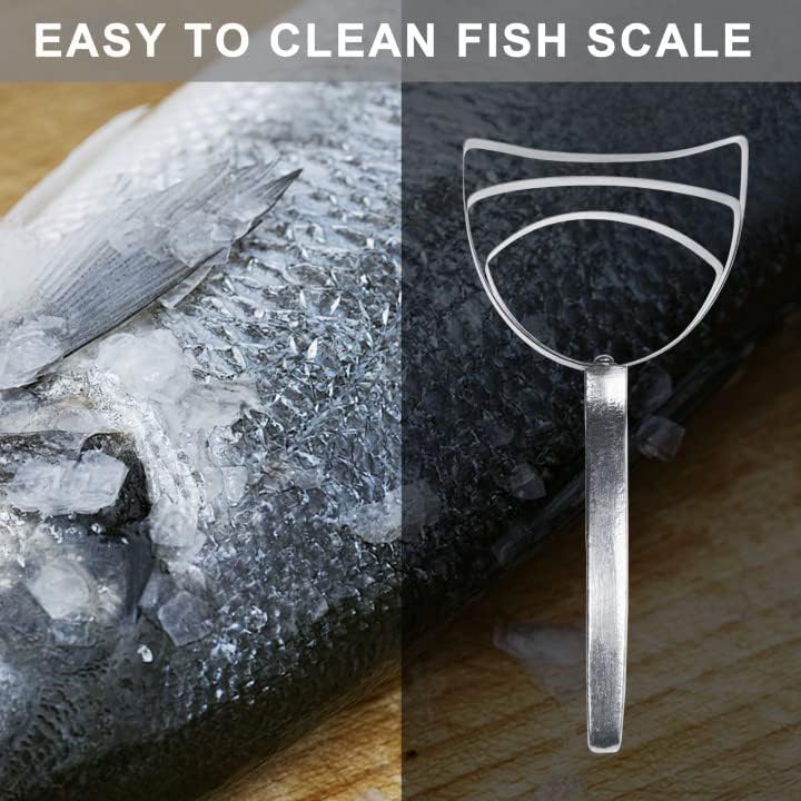 Stainless Steel Meat Bone Dust Scraper Tool for Kitchen