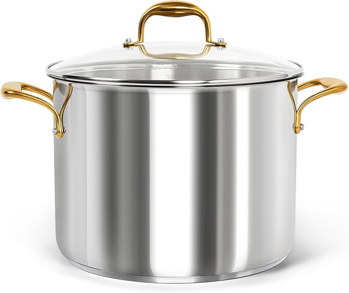 MICHELANGELO Stainless Steel Stock Pot by Michelangelo