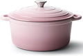 6 Quart Dutch Oven Pot with Lid, Non Stick Enameled Cast Iron Dutch Oven by Fijinhom