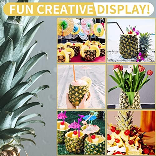 Newness Pineapple Corer and Slicer & Apple Slicer 12 Thin Slices