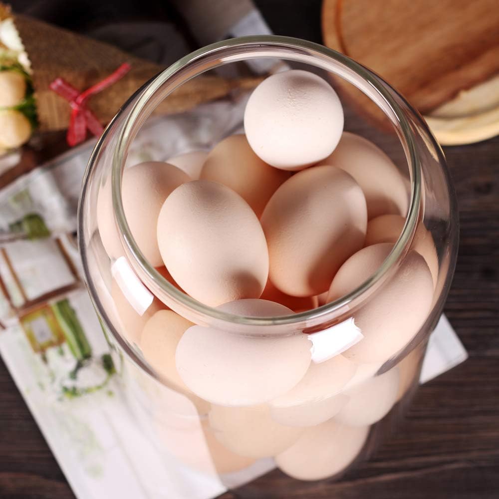 SAIOOL Egg Jar,kitchen canister, 1 Gallon Large Glass Food Storage