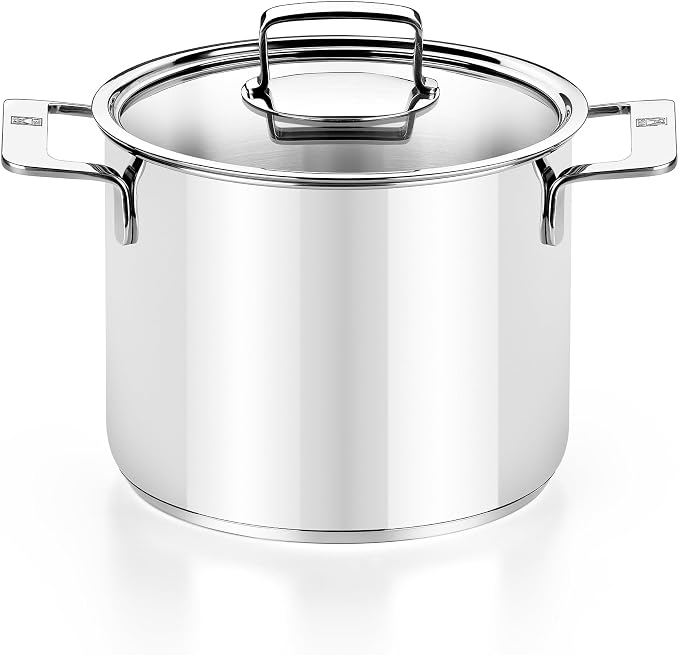 BRA COOKWARE Signature Stainless Steel Stock Pot w/Glass Lid | 9.5 Inch 9 Quart by BRACookware