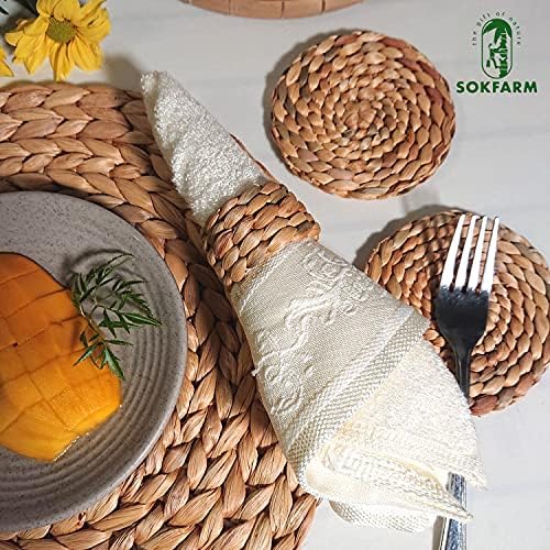 10pcs Water Hyacinth Absorbent Coasters for Drinks, Woven Coasters for