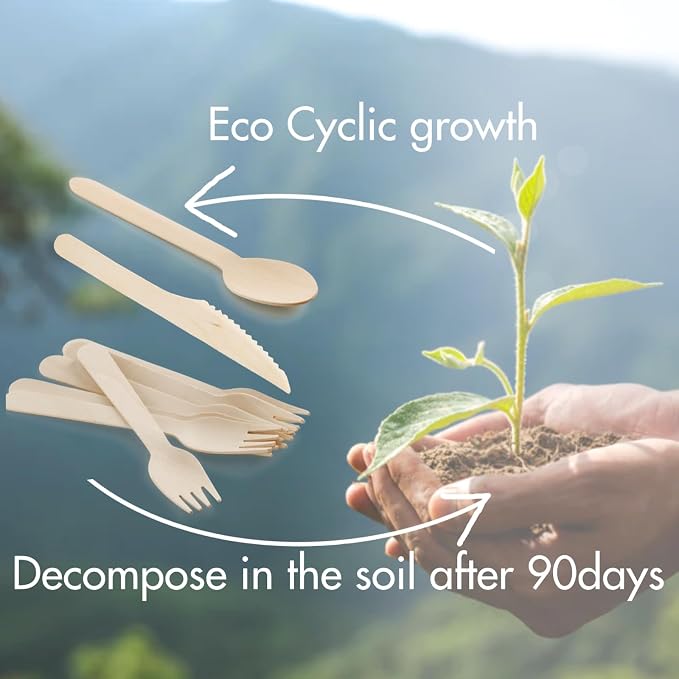 Compostable Wooden Utensils Set - Image 5