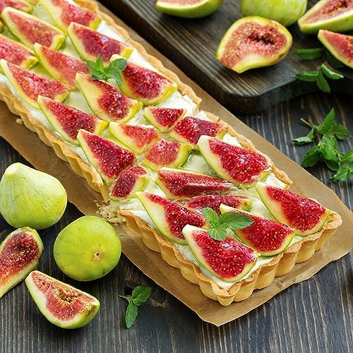 14 Inch Rectangular Tart Pan Set of 2, Nonstick Quiche Pie Pan with