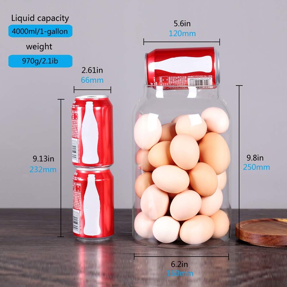 SAIOOL Egg Jar,kitchen canister, 1 Gallon Large Glass Food Storage
