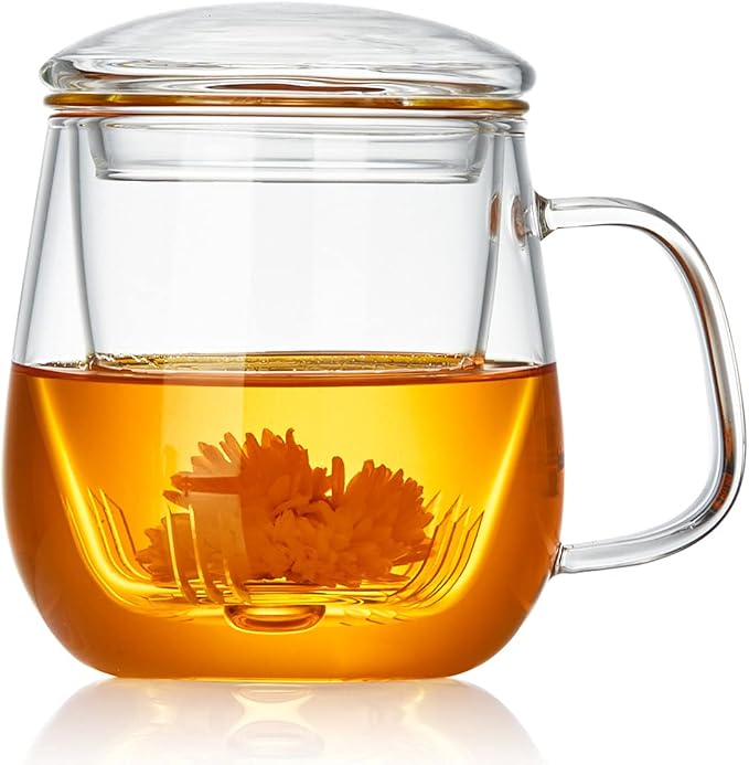 DOPUDO Glass Tea Cup with Infuser and Lid, 17.6oz/520ml Large Borosilicate by DOPUDO