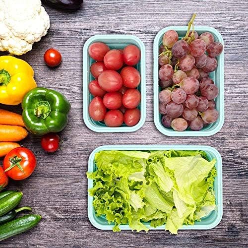 Set of 4 Collapsible Foldable Silicone Food Storage Container With BPA