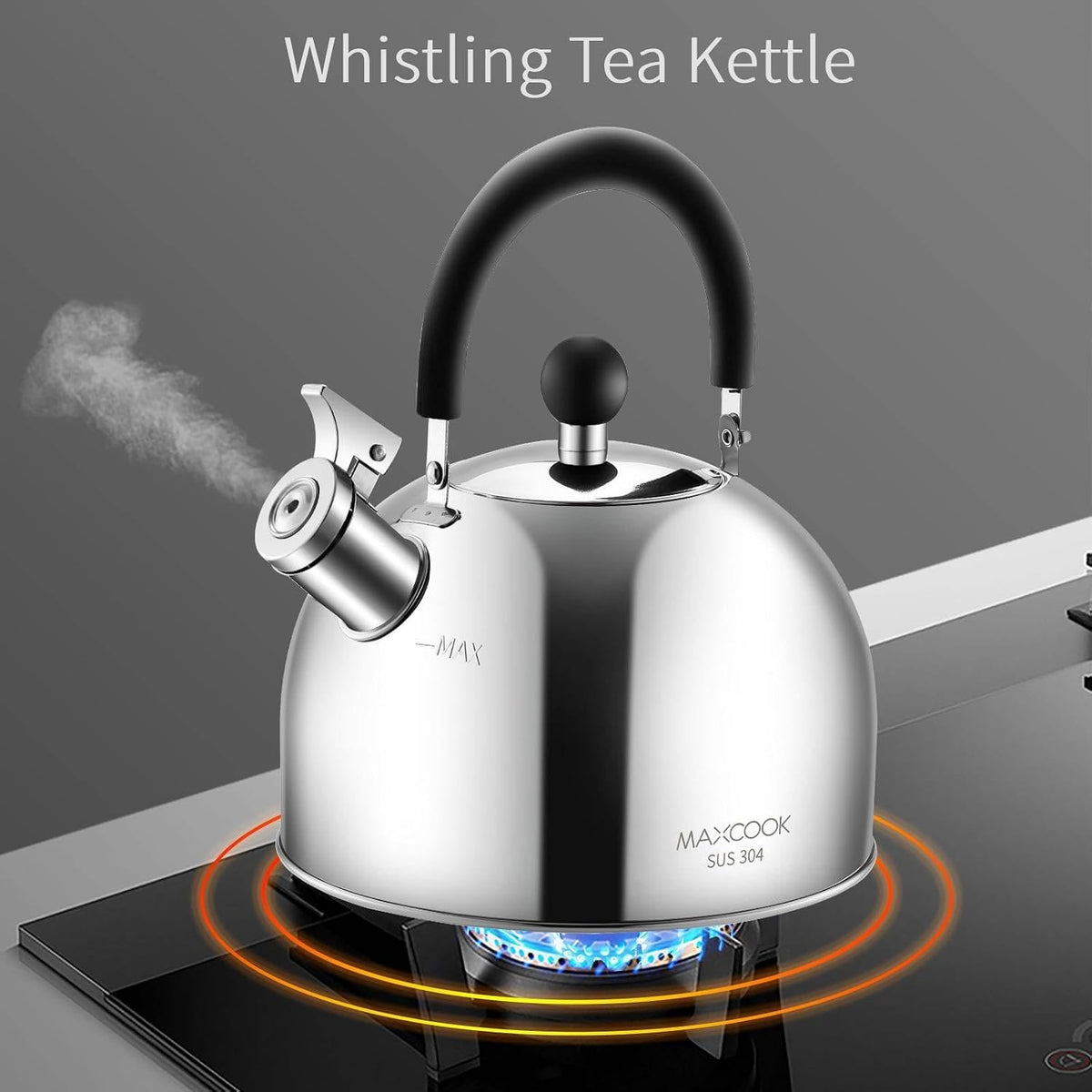 304 Stainless Steel Whistling Tea Kettle 3.17 Quart/3L Tea Pot