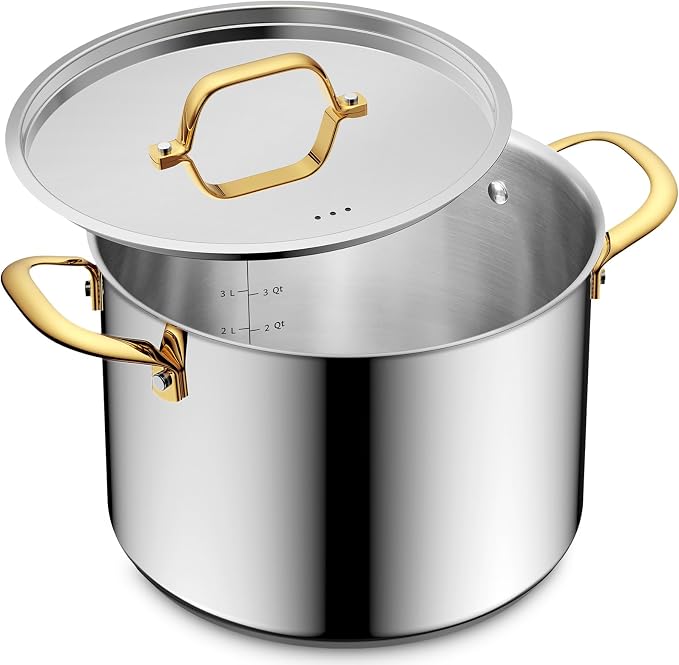 BEZIA 6 Quart Stainless Steel Stock Pot, 0-Coating Healthy Soup Pot by BEZIA
