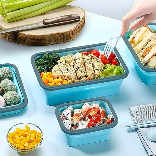 GEMLORD 10 Pieces Collapsible Food Storage Containers Foldable