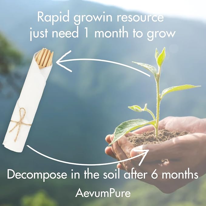 AevumPure 30 Sets Bamboo Cutlery - Image 5