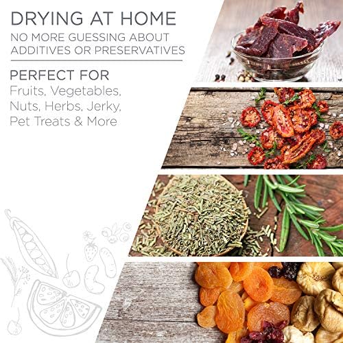 Ivation 6-Tray Food Dehydrator