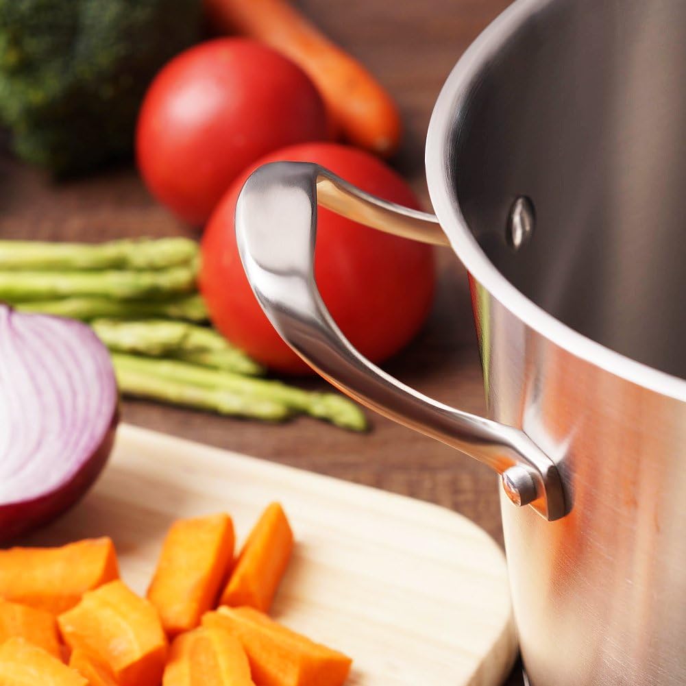 HOMI CHEF HEAVY ECOLOGICAL NICKEL FREE Stainless Steel Stock Pot 8QT