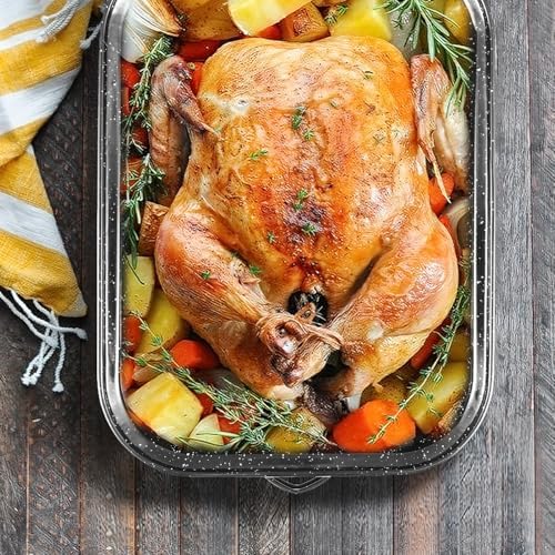Roasting Pan 21 Inch with Lid Turkey Baster and V Rack,25lb Capacity