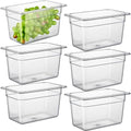 CURTA 6-Pack 1/4 Size 6" Deep NSF Polycarbonate Food Pans | Dishwasher & by CURTA
