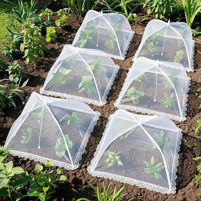 Mesh Food Covers for Outside - Image 5