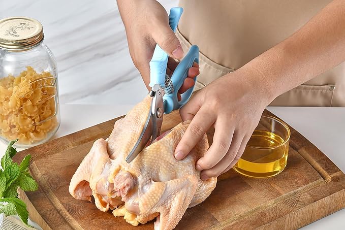 Heavy Duty Poultry Shears - Image 6