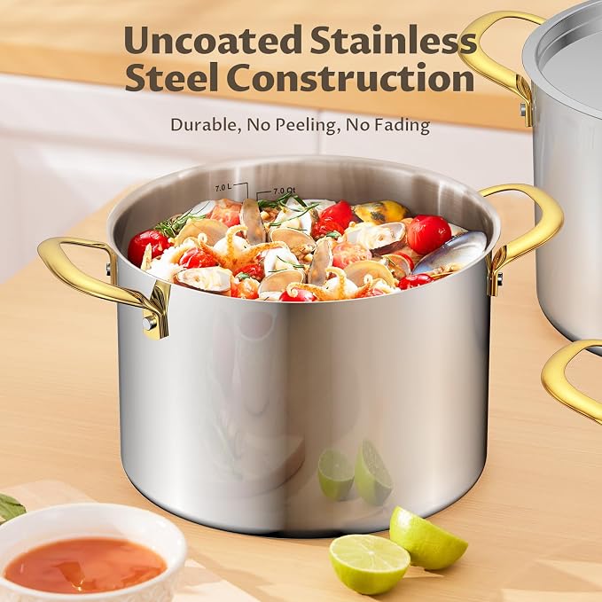 BEZIA 8 Quart Stainless Steel Stock Pot, 0-Coating Safe Cooking Pot - Image 3